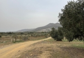 Non-developable land for sale on España, Roses, ref: TR356939 photo