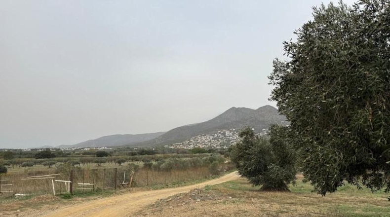Gerona - l'Escala - 1110m2