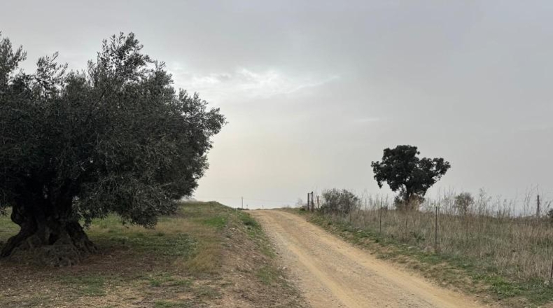 Gerona - l'Escala - 1110m2