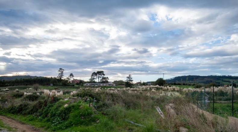 Asturias - Villaviciosa - 1705m2