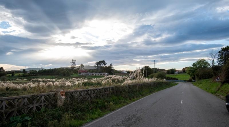 Asturias - Villaviciosa - 1705m2