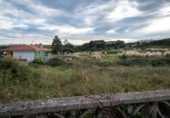 Terreny no urbanitzable en venda a la España, Villaviciosa, ref.: TR362312 foto