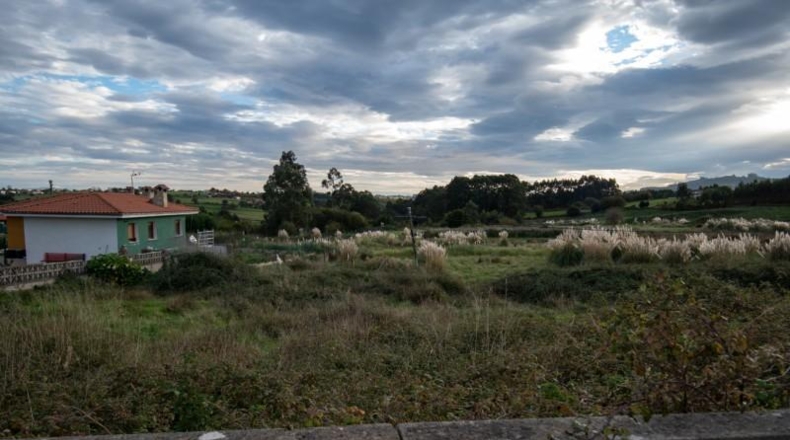 Asturias - Villaviciosa - 1705m2