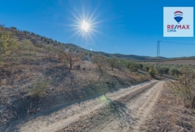 Alhama de Granada 61331&nbsp;m² 
