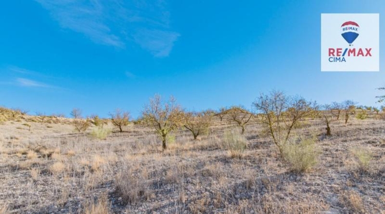 Granada - Alhama de Granada - 61331m2