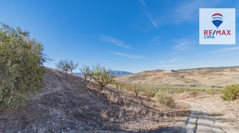 Granada - Alhama de Granada - 61331m2