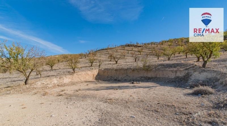 Granada - Alhama de Granada - 61331m2