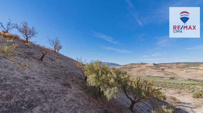 Granada - Alhama de Granada - 61331m2
