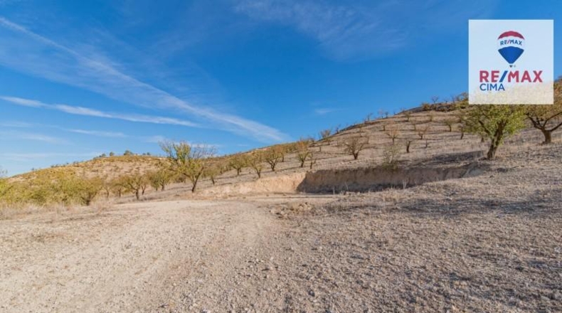 Granada - Alhama de Granada - 61331m2