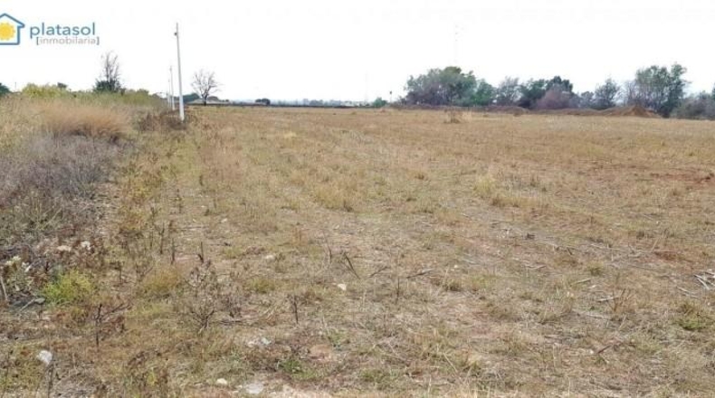 Seville - Guillena - 27000m2