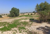 Terreny no urbanitzable en venda a la España, Guillena, ref.: TR167736 foto
