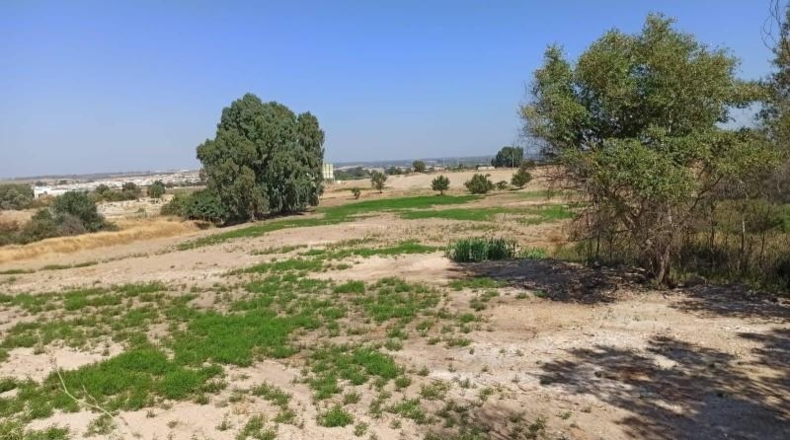 Seville - Guillena - 27000m2