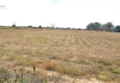 Terreny no urbanitzable en venda a la España, Guillena, ref.: TR167736 foto