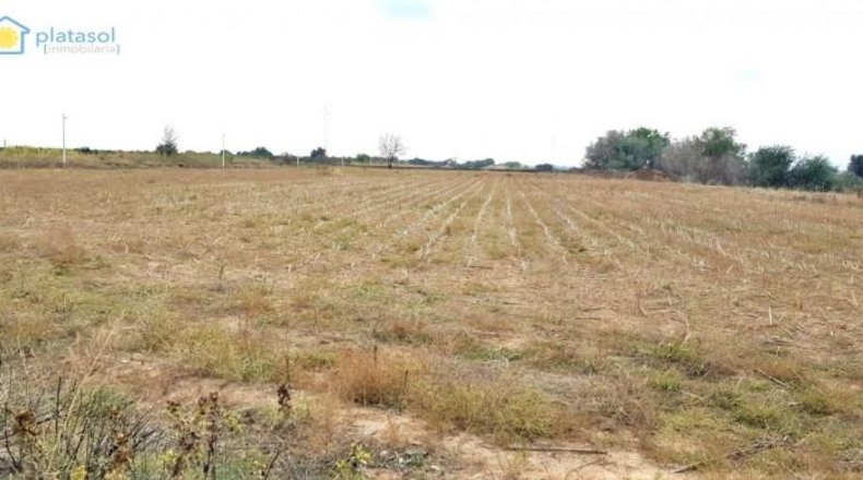 Seville - Guillena - 27000m2