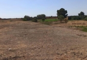 Terreny no urbanitzable en venda a la España, Guillena, ref.: TR167736 foto