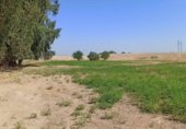 Terreny no urbanitzable en venda a la España, Guillena, ref.: TR167736 foto
