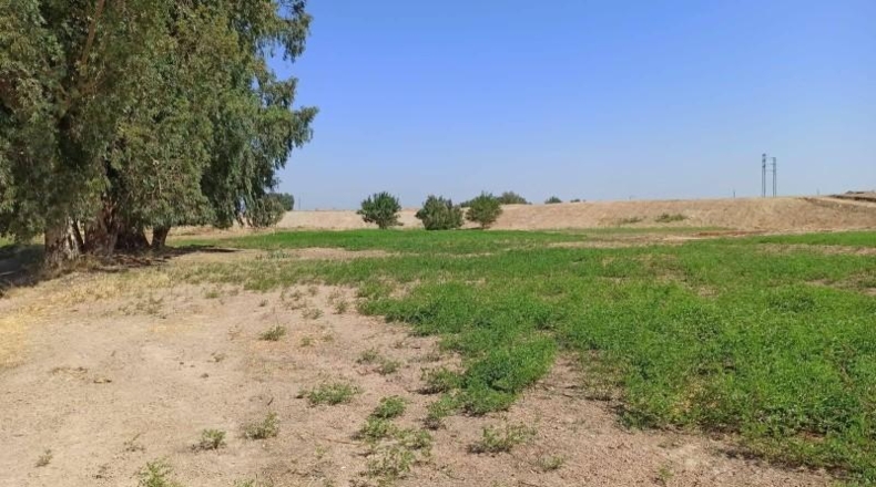 Seville - Guillena - 27000m2