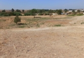 Terreny no urbanitzable en venda a la España, Guillena, ref.: TR167736 foto