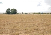 Terreny no urbanitzable en venda a la España, Guillena, ref.: TR167736 foto