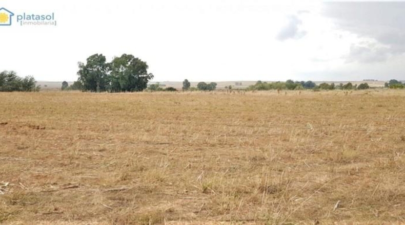 Seville - Guillena - 27000m2