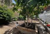 Sòl urbà en venda a la España, El Ejido, ref.: TR294604 foto