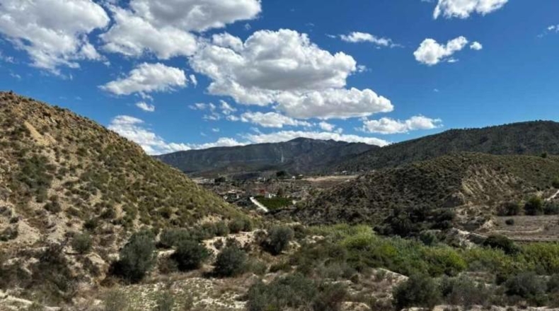 Murcia - Abarán - 13758m2