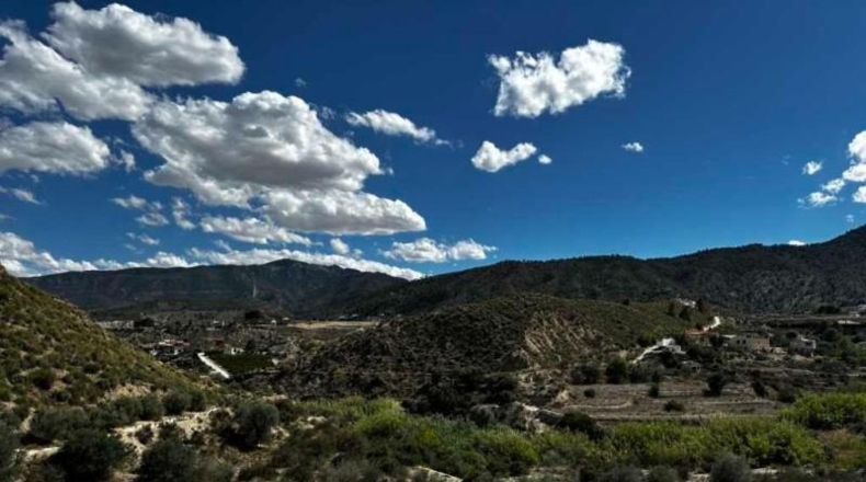 Murcia - Abarán - 13758m2