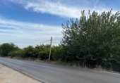 Terreny no urbanitzable en venda a la España, Oriola, ref.: TR341115 foto