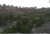 Land suitable for development for sale on España, Los Baños de Mula, ref: TR328419 photo