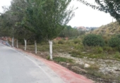 Land suitable for development for sale on España, Los Baños de Mula, ref: TR328419 photo