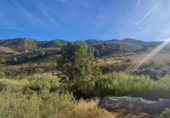 Casa de campo con terreno en venta en la España, Águilas, ref: TR355779 foto