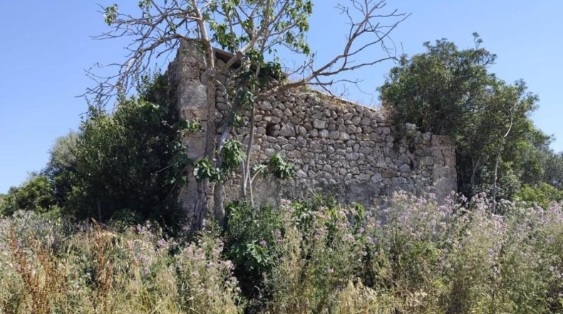 Balearic Islands - María de la Salud - 5000m2