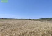 Land suitable for development for sale on España, Maria de la Salut, ref: TR315414 photo