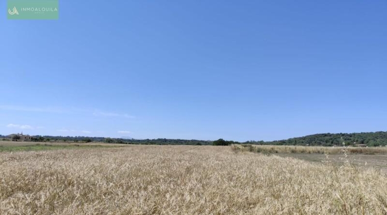 Balearic Islands - María de la Salud - 5000m2