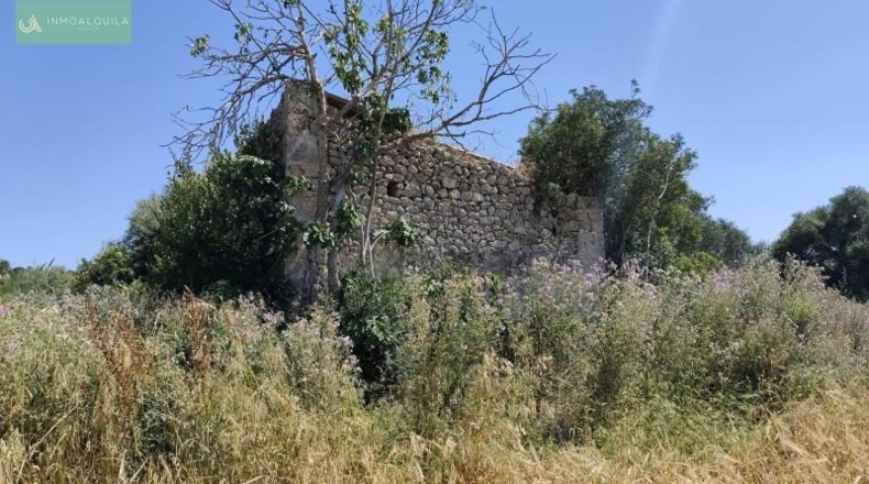 Balearic Islands - María de la Salud - 5000m2