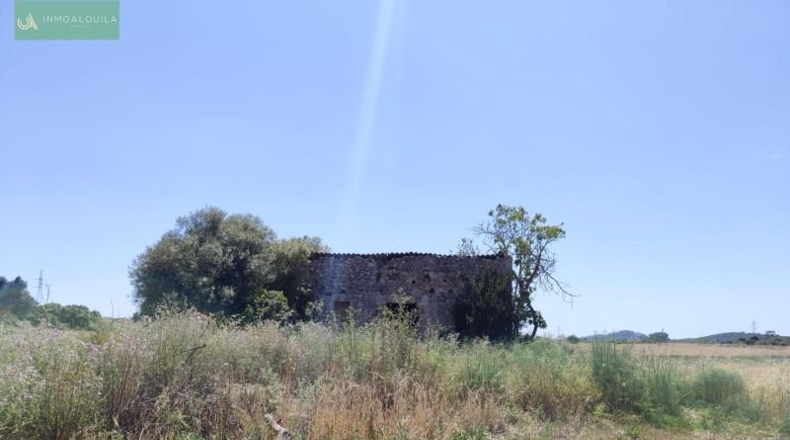 Balearic Islands - María de la Salud - 5000m2