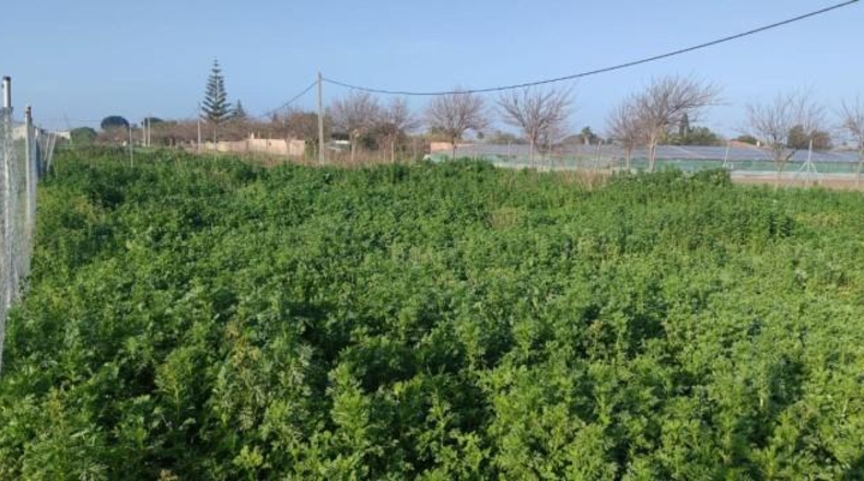 Cádiz - Sanlúcar de Barrameda - 1400m2