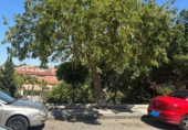 Casa amb terreny en venda a la España, Molina de Segura, ref.: TR284209 foto