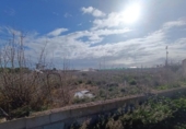 Casa de camp amb terreny en venda a la España, Múrcia, ref.: TR292221 foto