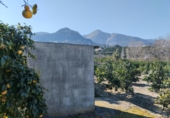 Non-developable land for sale on España, Pego, ref: TR219903 photo