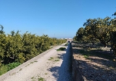 Non-developable land for sale on España, Pego, ref: TR219903 photo