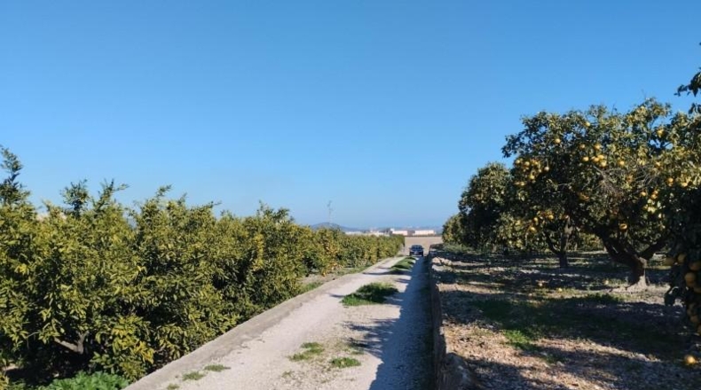 Alicante - Pego - 7600m2