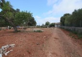 Non-developable land for sale on España, Llubí, ref: TR235570 photo