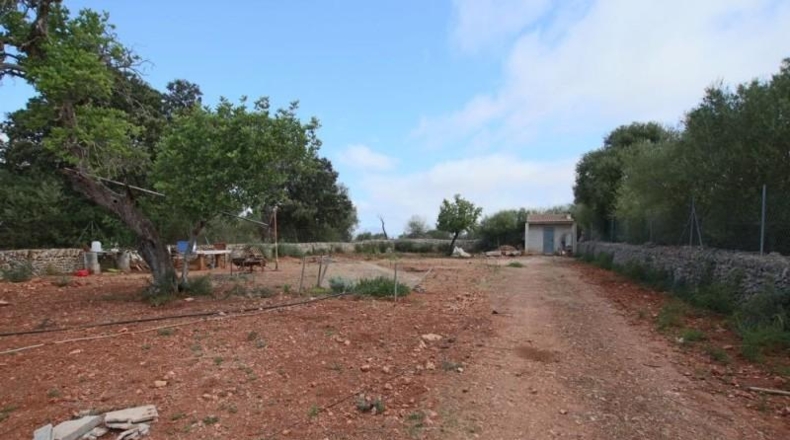 Balearic Islands - Llubí - 2814m2