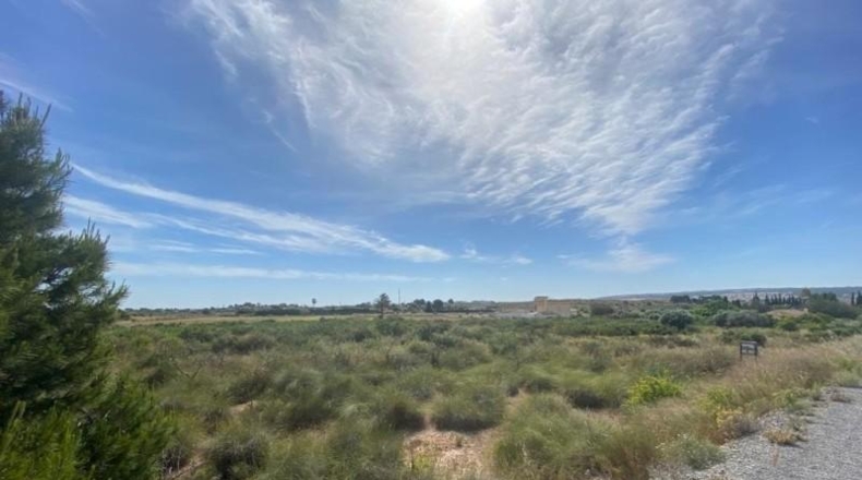 Alicante - Elche - 10472m2