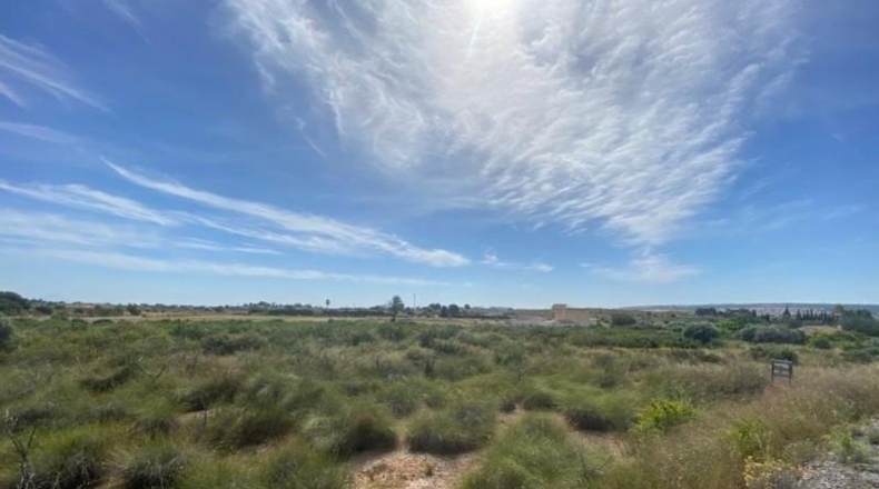 Alicante - Elche - 10472m2