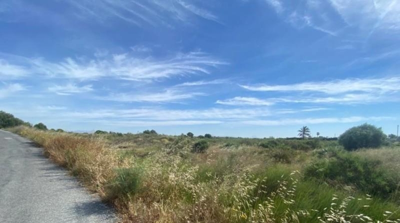 Alicante - Elche - 10472m2