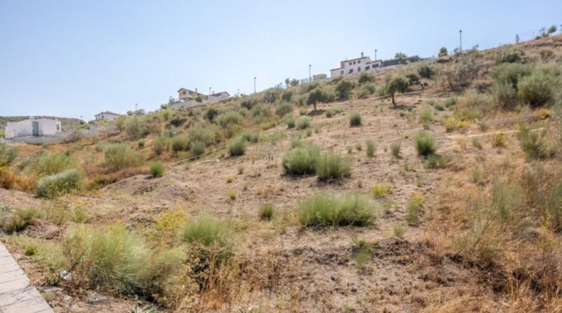 Granada - La Zubia - 797m2