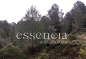Non-developable land for sale on España, Oliva, ref: TR119189 photo