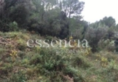 Non-developable land for sale on España, Oliva, ref: TR119189 photo